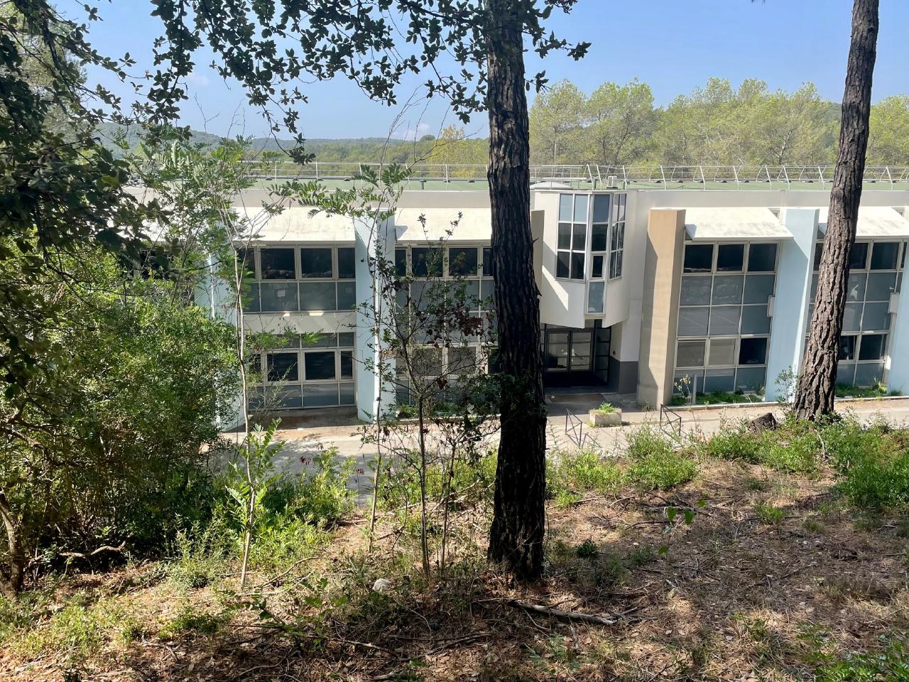 Bureau Sophia Antipolis 1243m² Location bureau Sophia Antipolis Alpes-Maritimes OLBUR2310205 1